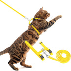 PUPTECK Adjustable Cat Harness and Leash Set Escape Proof Kitten Strap Collar for Walking Travel, Yellow, M