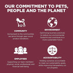 Go! Solutions Sensitivities Limited Ingredients, Grain-Free Dry Dog Food, Lamb Recipe for Sensitive Stomach, 3.5 lb Bag