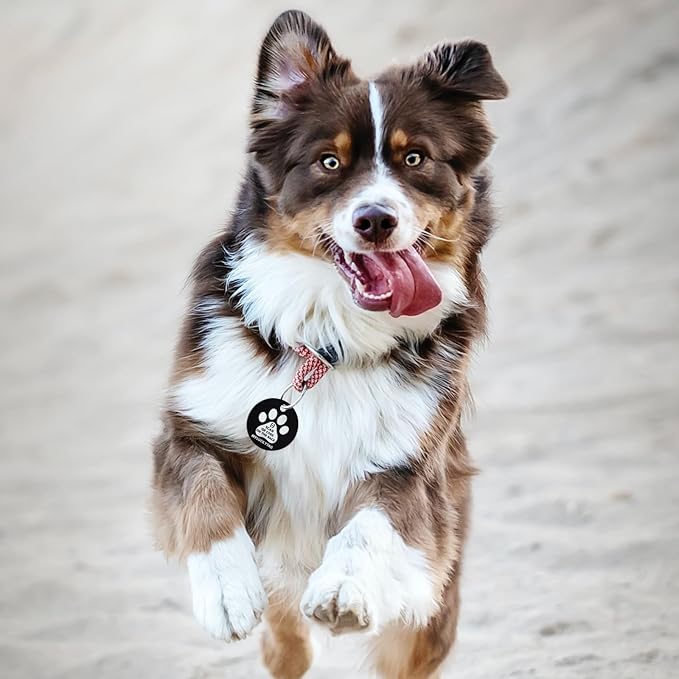 MYLUCKYTAG QR Code Stainless Steel Personalized Dog ID Tag, Engraved Dog Collar Tag, Digital Pet Profile, Pet Location Alert Email