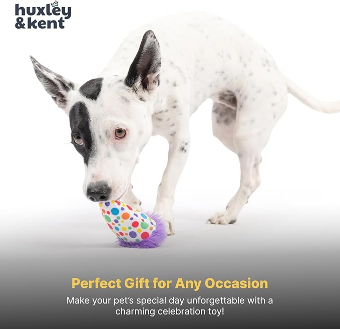 Huxley & Kent Funny Dog Toy w/Squeaker – Power Plush Squeaky Dog Toys for Small Dogs – Durable Small Stuffed Animal for Indoor Play & Fetch - Tiny Tuff Polka Dot Party Hat