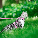 PUPTECK Cat Harness and Leash Set Escape Proof for Walking, Breathable Mash Vest Adjustable Harness for Cats Puppy Small Animals, Reflective at Night, Pink Small