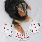 15PCS Funny Poker Dog Toys- Plush Interactive Toys with Crinkle Paper for Small, Medium Puppies- Fun Novelty Play- Cool Stuffed Gifts for Dog Birthday(Red)