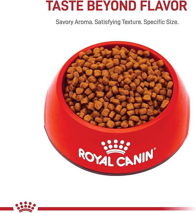 Royal Canin Feline Breed Nutrition Persian Kitten Dry Cat Food, 3 lb Bag