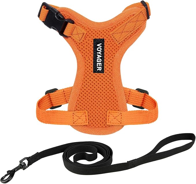 Voyager Escape-Proof Step-in Lock Cat Harness & 5ft Neoprene-Handle Leash Set All-Weather Mesh with Reflective Stitching for Small to Large Cats by Best Pet Supplies, Orange, XS