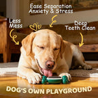 Dog Toys for Aggressive Chewers: Dog Treat & Chew Toys, Long-Lasting Interactive Dog Toys to Keep Them Busy, Indestructible Dog Enrichment Bones for Small Medium Large Breeds, Beef Flavor