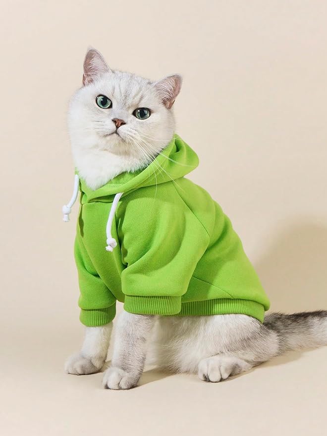 QWINEE Basic Dog Hoodie Sweatshirt Puppy Sweater Warm Cat Costumes Pet Clothes for Chihuahua Puppy Kitten Small Medium Dogs Green X-Small