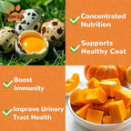 PAWUP Freeze Dried Cat & Dog Treats, Natural Quail Egg Yolk, High Fiber Pumpkin Added, High-Protein Pet Snacks for Coat & Gut Health, 3.5 oz