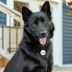 MYLUCKYTAG QR Code Silicone Dog Cat ID Tag - Online Pet Profile, Pet Location Alert Email - Durable Dog Collar Tag