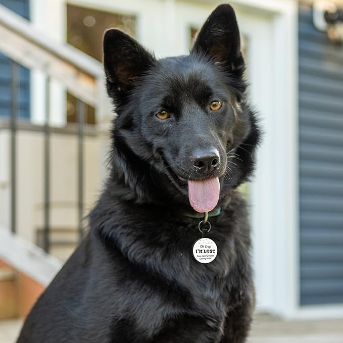 MYLUCKYTAG QR Code Silicone Dog Cat ID Tag - Online Pet Profile, Pet Location Alert Email - Durable Dog Collar Tag