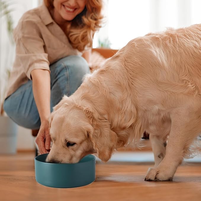 6'' Ceramic Dog Bowl - 30Oz Classic Dogs Food & Water Bowl for Small and Medium Breed Dogs, Heavy Duty Non-Slip Dog Dishes, Food Grade Stoneware Pet Bowl, Dishwasher & Microwave Safe, Green