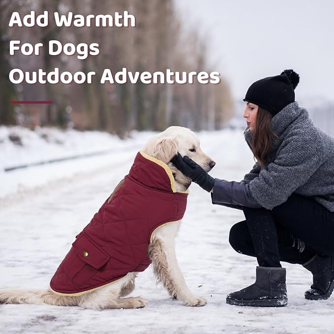 Queenmore Dog Winter Coat Warm Puffer Jacket Waterproof Plush Lining Thermal Cold Weather Vest for Small Medium Large Dogs, Windproof Easy On Pet Jacket Burgundy L