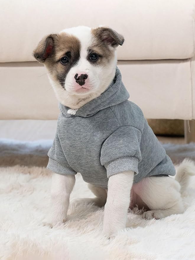 QWINEE Basic Dog Hoodie Sweatshirt Puppy Sweater Warm Cat Costumes Pet Clothes for Chihuahua Puppy Kitten Small Medium Dogs Grey and Cadet Blue Medium