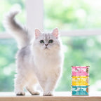 Weruva Cats in The Kitchen, Chicken Frick 'A Zee Wet Cat Food, 10oz Can (Pack of 12)
