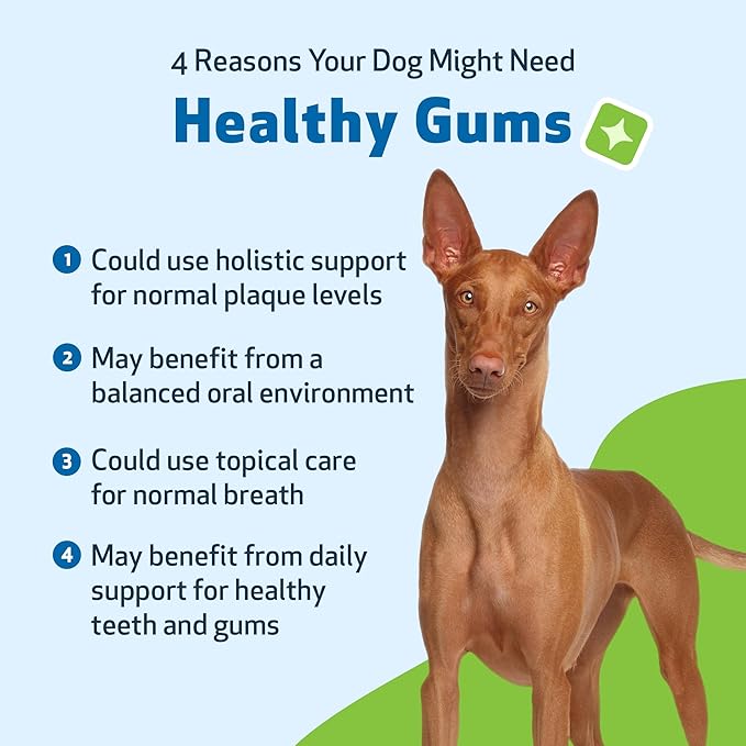 Pet Wellbeing - Healthy Gums for Dogs - Natural Supplement for Healthy Gums, Teeth and Breath Against Dog Gingivitis - 2oz (59ml).
