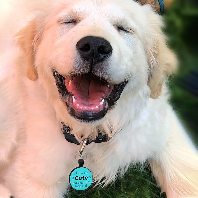 MYLUCKYTAG QR Code Silicone Dog Cat Tag - Online Pet Profile, Location Alert Email, Digital Pet ID, Quiet, Durable