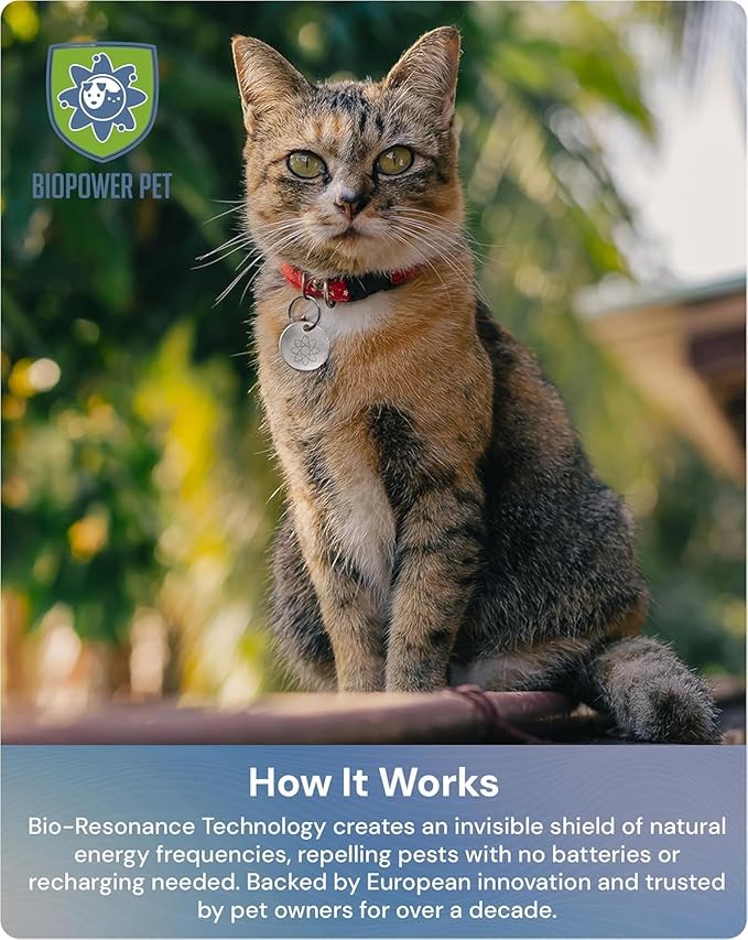 Natural Flea & Tick Repellent Collar Tag for Dogs & Cats – BioPower Pet Shield – Safe for Pets When Used as Directed – Lasts 1 Full Year - Regular Tag (2 Pack)
