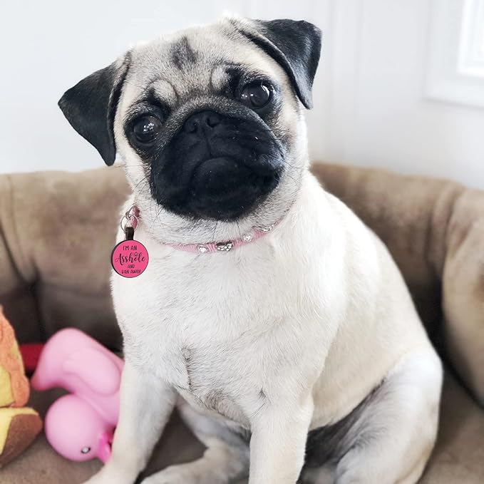 MyluckyTag QR Code Silicone Dog/Cat ID Tag: Engraved, Quiet, Durable, Online Pet Profile & Location Alert