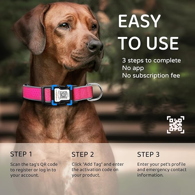 Personalized Dog Collar with QR Code tag for pet ID, Reflective Safety Collar, Suitable for Small, Medium, and Large Dogs (Rose Red, Medium)