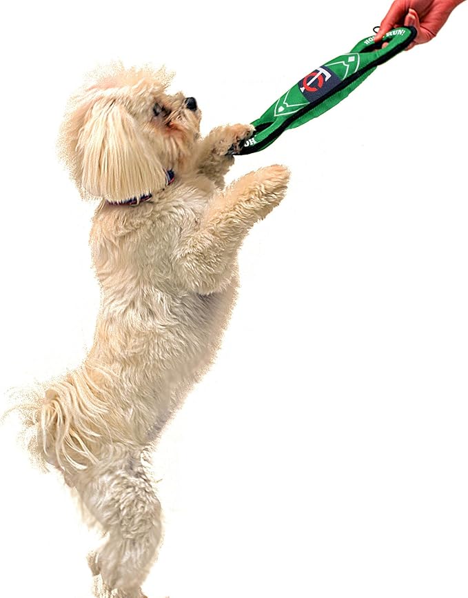 Pets First MLB MINNESOTA TWINS Baseball Field Dog Toy with Double rim Stitching & Inner SQUEAKER