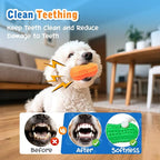 Nobleza Squeaky Dog Toys Interactive, 4 Pack Peanut Chew Ball for Pet Teeth Cleaning Puppy Squeaky Chew Toy, Durable for Medium Large Small Breeds Puppy Teething Chew Toy