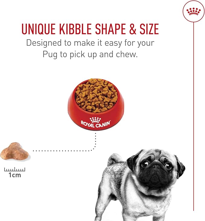 Royal Canin Breed Health Nutrition Pug Adult Dry Dog Food, 10 lb Bag