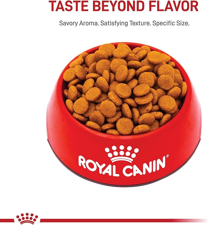 Royal Canin Medium Digestive Care Dry Dog Food, 30 lb bag