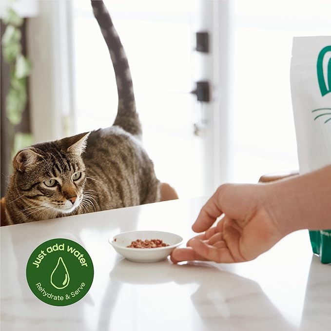 smallbatch Pets Freeze Dried Cat Treats, Raw Dry Cat Food Bites, Turkey Recipe, High Protein Food Topper or Training Treats for Cats, Humanely Sourced Meat, Made in The USA, Non GMO, 10 oz Bag