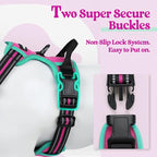 rabbitgoo Dog Harness No Pull with 2 Leash Clips, Adjustable Soft Padded, Reflective Oxford No Choke Pet Vest with Easy Control Handle for Large Dogs, Hot Pink & Turquoise, L