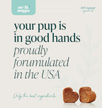 My Lil’ Nugget – Calming Chews for Dogs | Helps Maintain Calm Behavior for Noise, Travel & Routine Changes | Hemp Seed, Chamomile & Melatonin | Beef‑Flavored Soft Chews, 90 Count