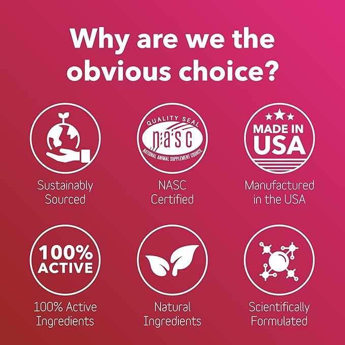 InClover Heart+ Dog and Cat Cardiac Health Supplement - Taurine Supplement for Dogs and Cats - Supports Heart & Immune Health, Pet Supplement for Weight Management & Senior Pet Health