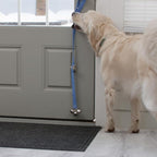 Caldwell's Pet Supply Co. Dog Potty Bells, Dog Door Bell, Bells to Go Outside, Potty Training Bell, Dogs Doorbell, Dogs Potty Doorbell, Ring to Go Pee, All Breed Puppy Training Tool