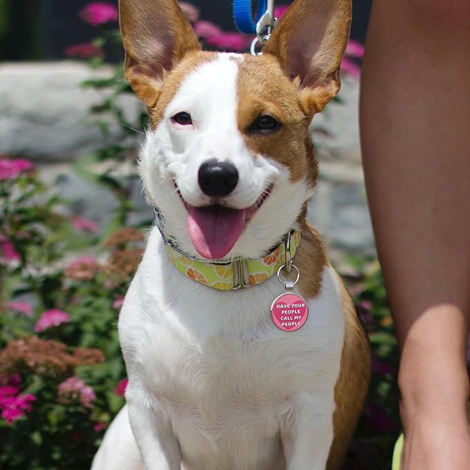 MYLUCKYTAG QR Code Dog Tags - Scan for Instant Pet Location Alert Email