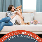 Flourish Pets 2 in 1 Multi-Layer Chew Toy for Active Dogs | Non-Toxic BPA Free Double Stitched Soft Fabric Exterior Dog Toys | Long-Lasting Dog Plush Toys – Lamb 3.5"