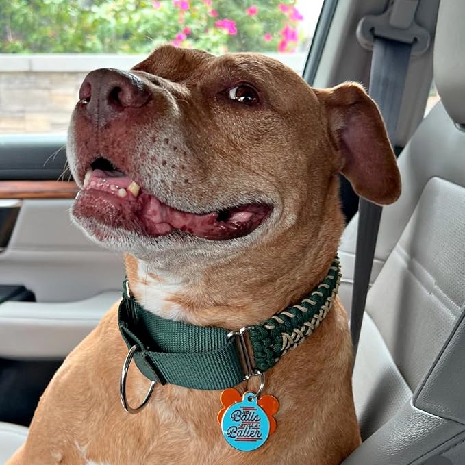 Personalized QR Code Dog Tags - Choose from 25+ Tag Designs - QR Code Links to Your Profile - Unique, Cute, Funny, Sassy Pet ID Tag (No Balls Still A Baller, Large (1.25 inch))