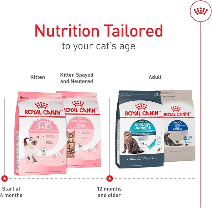 Royal Canin Feline Health Nutrition Dry Kitten Food, Supports Digestive Health, Immune Support and Healthy Energy, 3 lb Bag