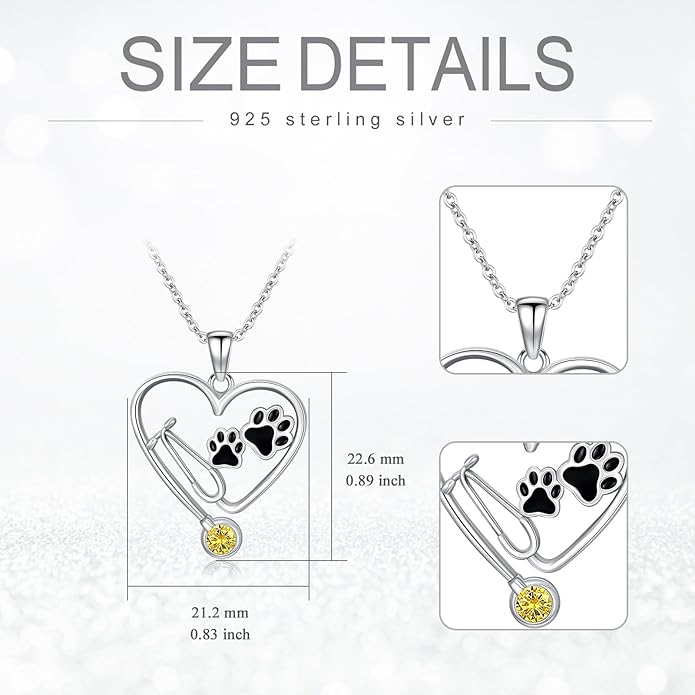 Birthstone Veterinary Stethoscope Necklace 925 Sterling Silver Nurse Vet Pendant with Dog Paw Nurse Jewelry Gifts for Veterinarian Nurse Women Veterinarian Gifts