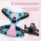 rabbitgoo Dog Harness No Pull with 2 Leash Clips, Adjustable Soft Padded, Reflective Oxford No Choke Pet Vest with Easy Control Handle for Small Dogs, Pink & Blue, S