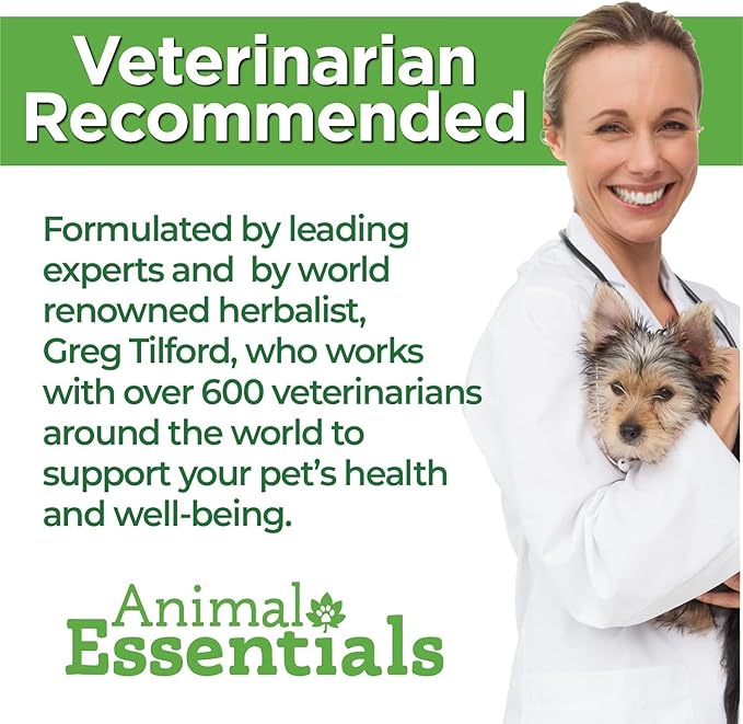 Animal Essentials Plant Enzyme & Probiotics for Dogs & Cats - Digestive Enzymes for Dogs, Probiotic Powder, Digestive Supplement, No Preservatives, Veterinarian Recommended - 3.5 Oz