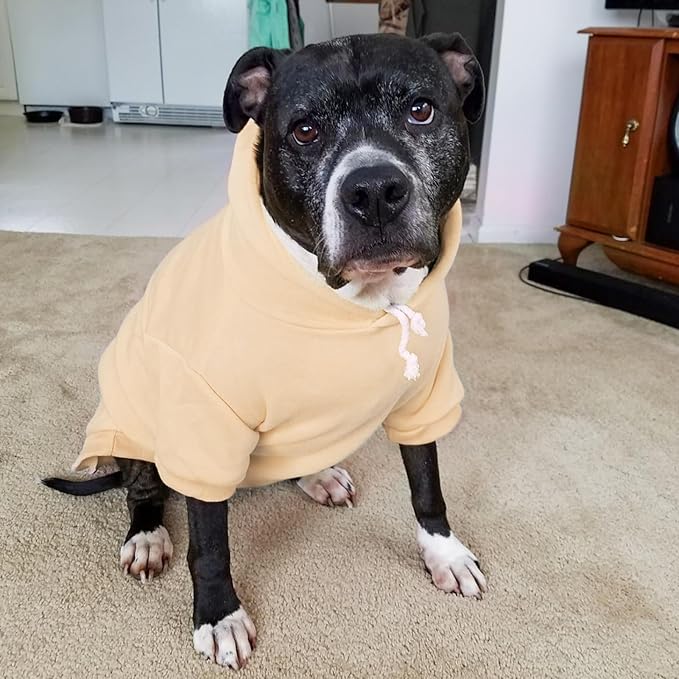 BINGPET Dog Hoodies - Fleece Lined Fall Dog Puppy Sweatshirt Soft Warm Sweater Winter Hooded Clothes for Small Medium Large Dogs & Cats