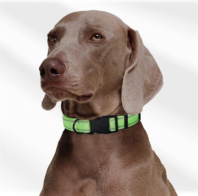 Mile High Life Nylon Night Light Glow Collar, Reflective Light Up Dog Collar, Fluorescent Self-Luminescent Strap for Small Medium Large Dogs (Lime, L Neck15-19")