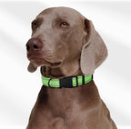 Mile High Life Nylon Night Light Glow Collar, Reflective Light Up Dog Collar, Fluorescent Self-Luminescent Strap for Small Medium Large Dogs (Lime, L Neck15-19")