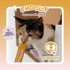 Squeeze Vita Stick Lickable Treats for Dogs & Cats. 7 Kidney Support Sticks with Essential multivitamins. Soft and Tasty Paste for All Life Stages, Supporting Kidney Health