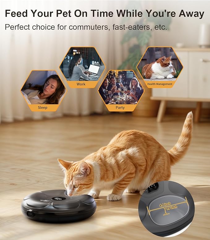 Casfuy Automatic Cat Feeder Cordless - Automatic Cat Food Dispenser for Wet Moist Food with 4 Ice Packs Rechargeable Auto Feeder for Cats Small Dogs with Programmable Timer Low Battery Indicator