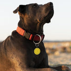 MYLUCKYTAG QR Code Silicone Pet ID Tag for Dogs and Cats - Online Profile, Location Alert Email, Digital Tag, Quiet and Durable Collar Tag, Engraved