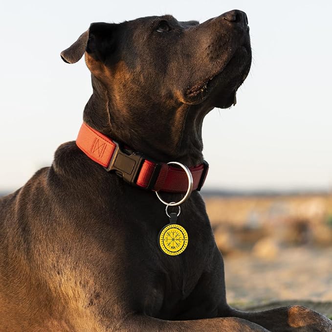 MYLUCKYTAG QR Code Silicone Pet ID Tag for Dogs and Cats - Online Profile, Location Alert Email, Digital Tag, Quiet and Durable Collar Tag, Engraved