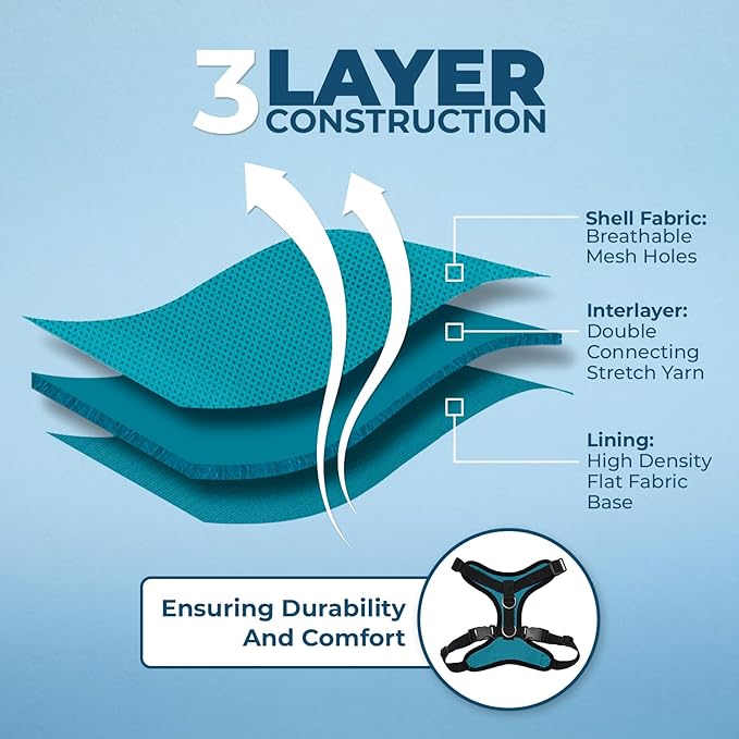 Voyager Escape-Proof Step-in Lock Cat Harness & 5ft Neoprene-Handle Leash Set All-Weather Mesh with Reflective Stitching for Small to Large Cats by Best Pet Supplies, Turquoise/Black Trim, XS