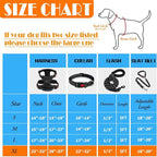 No Pull Dog Harness, Collar & Leash Set | Includes Dog Seat Belt, Collapsible Bowls & Poop Bag Dispenser. Ideal for Training, Walking, Hiking. Fits Small to Large Dogs(Black-XL)