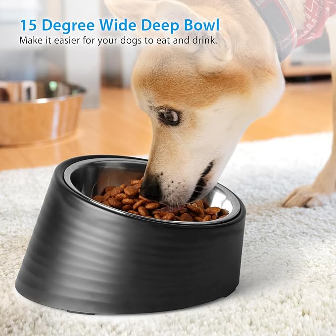 Tilted Angle Dog Bowl, 15° Slanted Stainless Steel Dog Cat Food Bowl, Non-Slip & Non-Spill Pet Feeder with Elevated Detachable Melamine Stand, Easy to Get Food Dish, Large 2 Cup Black