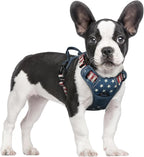 rabbitgoo Dog Harness No Pull with 2 Leash Clips, Adjustable Soft Padded, Reflective Oxford No Choke Pet Vest with Easy Control Handle for Large Dogs, Blue Star, S