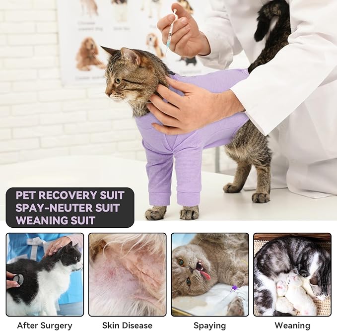 Cat Neuter Surgery Recovery Suit Male, Anti-Licking Cats Spay Recovery Suit Female, Long Sleeve Prevent Shedding Body Suit Post Surgery, Breathable Cone & E Colla Alternative Cat Apparel(Purple, L)